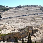 Le mont des Oliviers. הר הזיתים